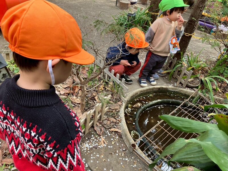 Children peering into a small pond