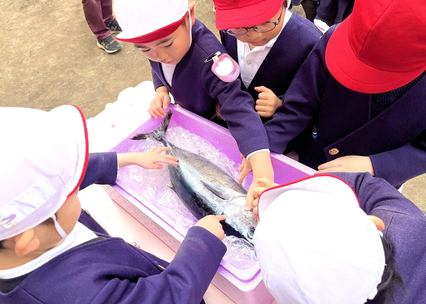 Waku Waku School 2026